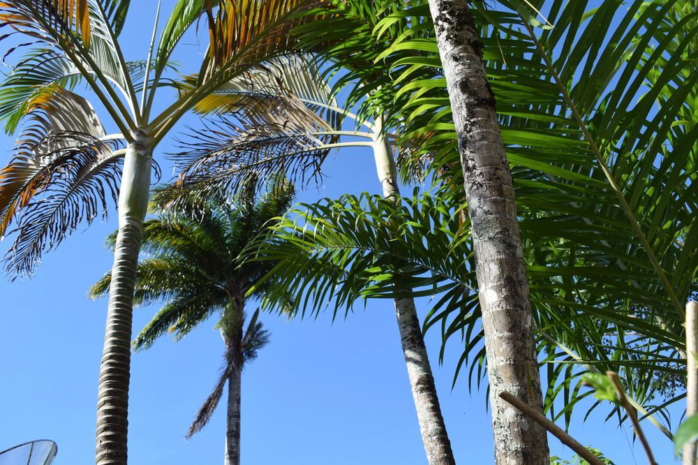 Pousada Sossego Boipeba Velha Boipeba Buitenkant foto